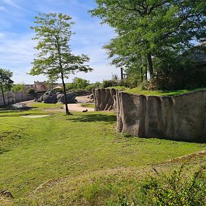 Serenga - Serenga Safari