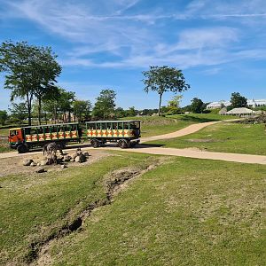 Serenga - Serenga Safari