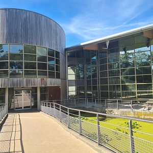 Entrance to Animazia