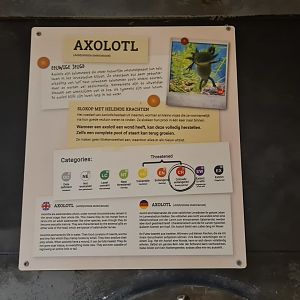 Animazia - Axolotl signage