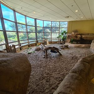 Animazia - African spurred tortoise enclosure