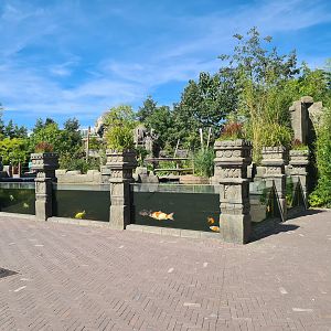 Underwater viewing for new Monkey ruins