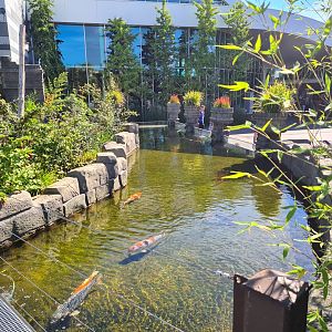 Moat around Monkey ruins