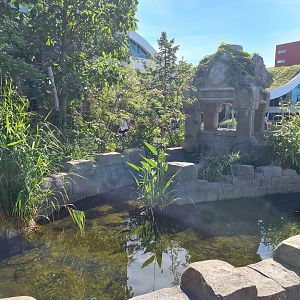 Moat around Monkey ruins