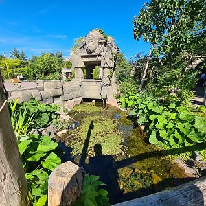 Water area in new Monkey ruins