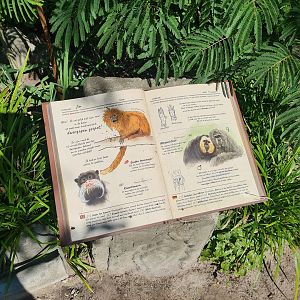 Signage in new Monkey ruins