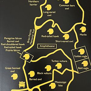 Zoo Map - undated