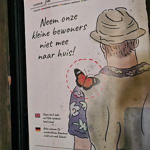 Butterfly temple - Signage