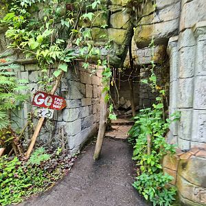 Butterfly temple - Start of adventure path