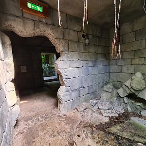 Butterfly temple - Adventure path