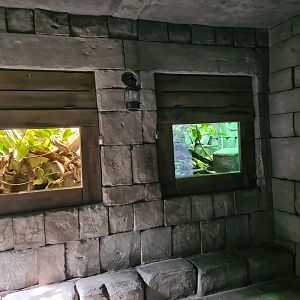 Butterfly temple - Emerald tree monitor terrariums