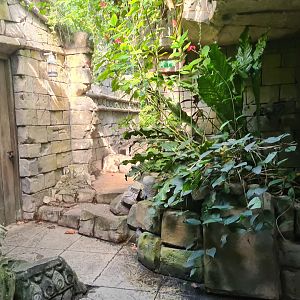 Butterfly temple - Adventure path