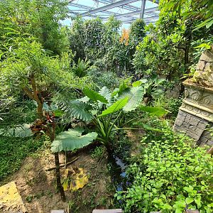 Butterfly temple - Top of Dwarf crocodile enclosure