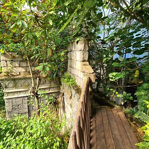Butterfly temple - Adventure path over Dwarf crocodile enclosure
