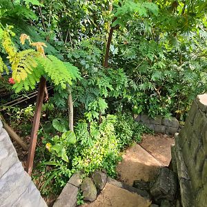 Butterfly temple - Adventure path