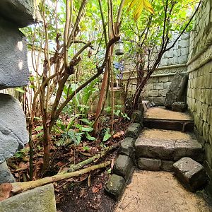 Butterfly temple - Adventure path