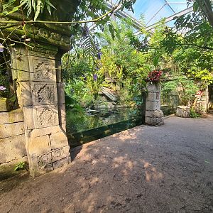 Butterfly temple - Dwarf crocodile enclosure