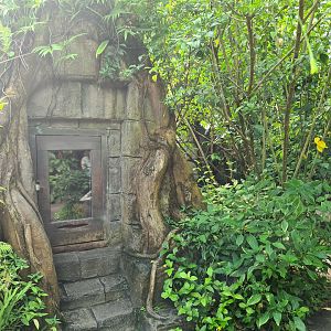 Butterfly temple - Central temple exhibit