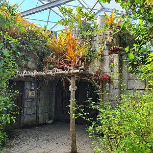 Butterfly temple - Exit