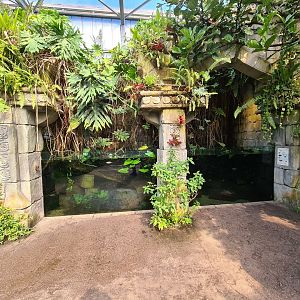 Butterfly temple - Central aquarium