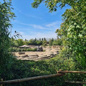 Jungola - View of Asian elephant enclosure