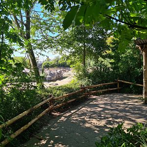 Jungola - View of Asian elephant enclosure