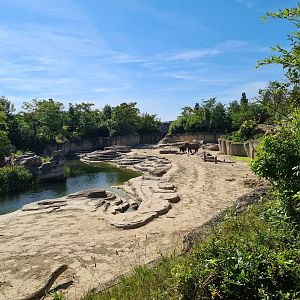 Jungola - Asian elephant enclosure
