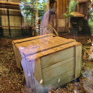 Jungola - Monkey market indoor enclosure