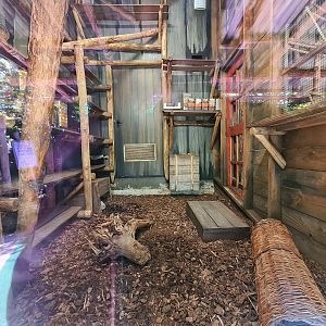 Jungola - Monkey market indoor enclosure