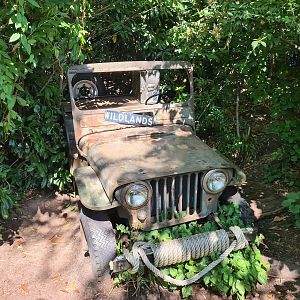 Jungola - Wildlands truck photo spot