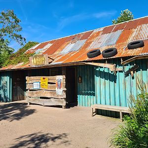 Jungola - Toilet buildings in Monkey market