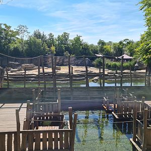 Jungola - Pully rafts in front of Elephant pool