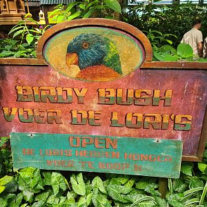 Rimbula - Birdy Bush signage
