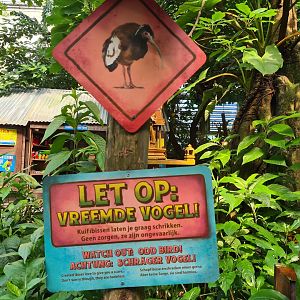 Rimbula - Warning sign about territorial ibis