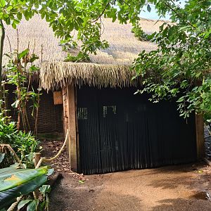 Rimbula - Birdy Bush exit