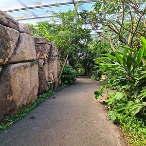 Rimbula - Entrance to Lemur area