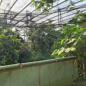 Rimbula - Bridge to Spider monkey island