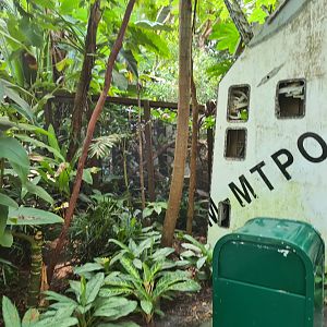 Rimbula - Pygmy marmoset enclosure