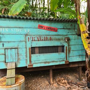 Rimbula - Chicken coop