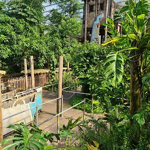 Rimbula - Line to Rimbula river boat ride