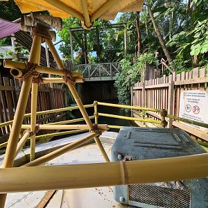 Rimbula river boat ride