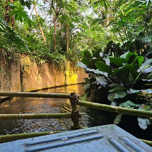 Rimbula river boat ride