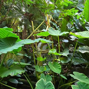 Jim's water filtration system seen from Rimbula river boat ride