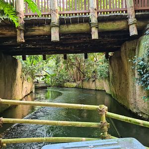 Rimbula river boat ride