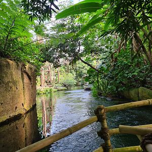 Rimbula river boat ride