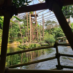 View of Spider monkey islands from Rimbula river boat ride