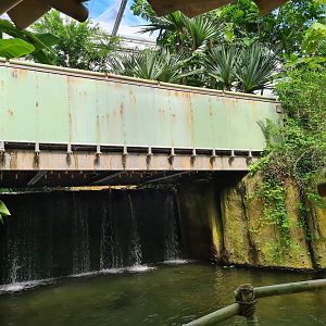 Waterfall from Rimbula river boat ride