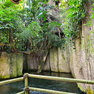 Rimbula river boat ride