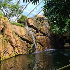 Waterfalls in Rimbula river boat ride