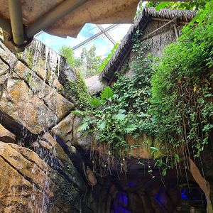 Cave entrance in Rimbula river boat ride